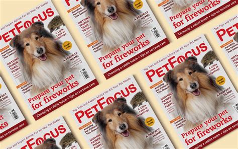 pet foufe|PetFocus